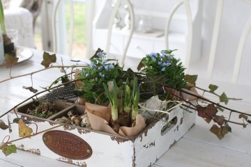 Chic Antique "Kasse" Tre